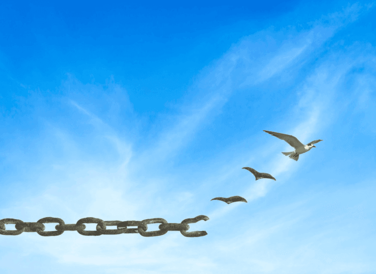 Transformatie Coaching