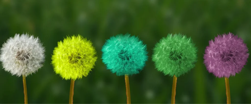 Managementboek interview: 5 vragen over leidinggeven aan zelforganisatie