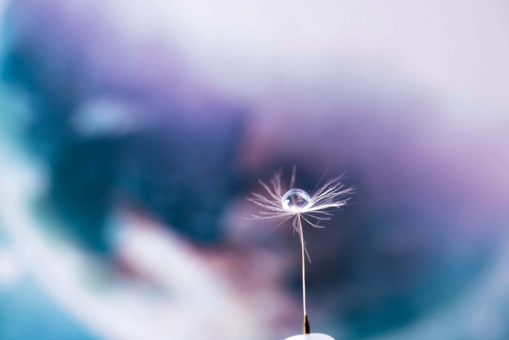 De moederwond helen: de reis naar vrijheid en volwassenheid